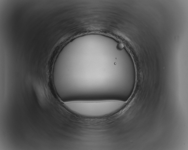 X0000089881306200706281042