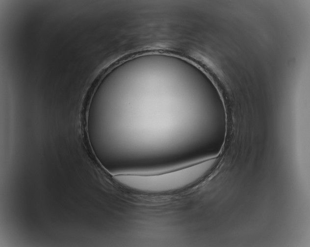 X0000089881308200706281042