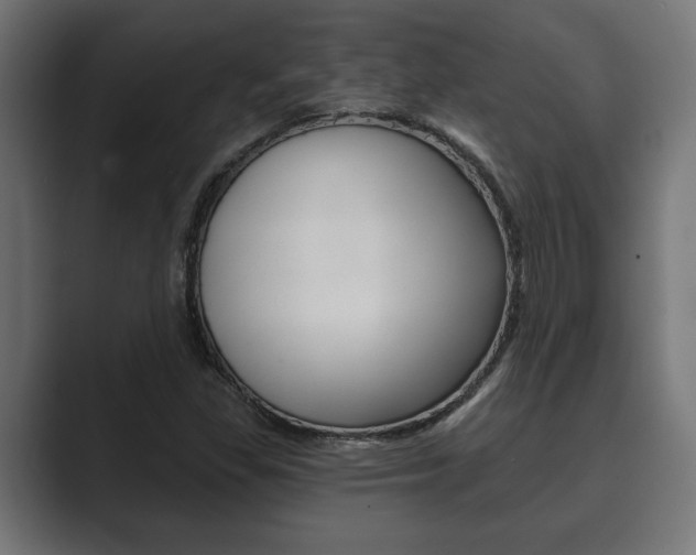 X0000089881309200706281042
