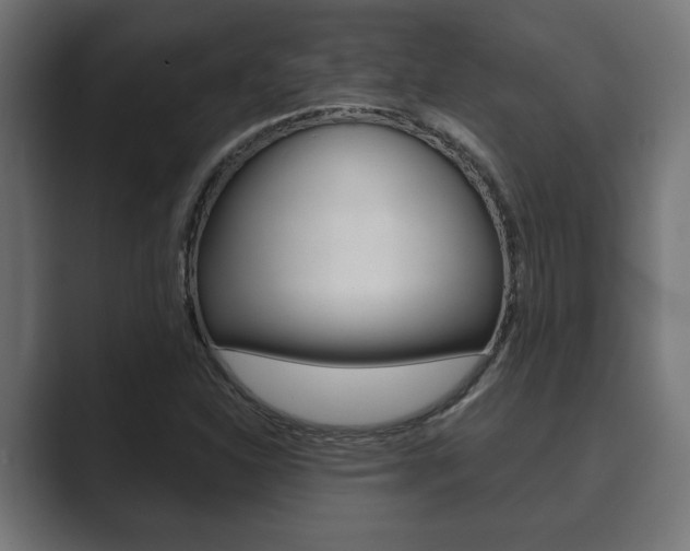 X0000089881310200706281042