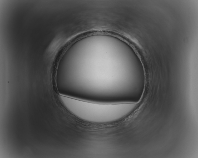 X0000089881311200706281042