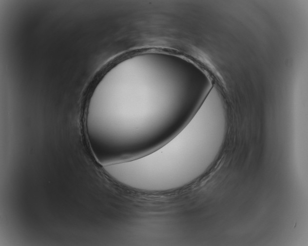 X0000089881312200706281042