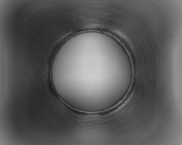 X0000089881313200706281042