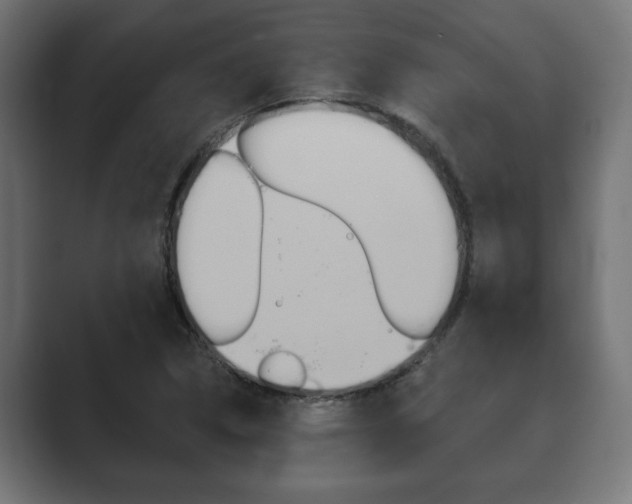 X0000089881314200706281042