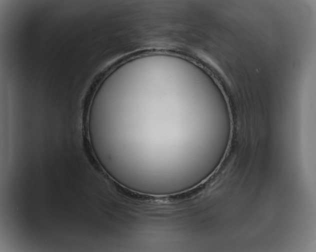X0000089881315200706281042