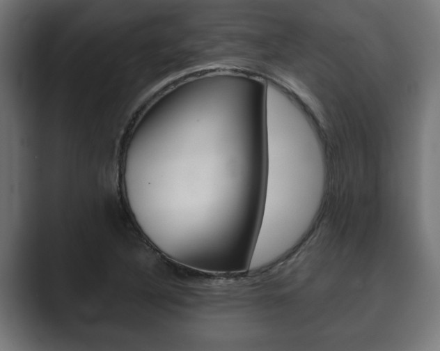 X0000089881316200706281042