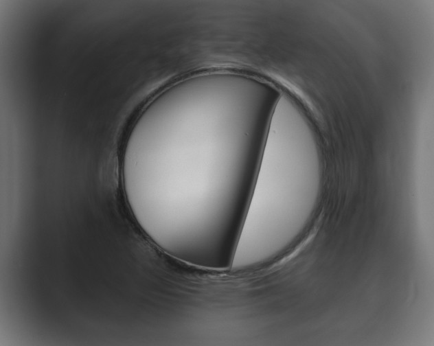 X0000089881317200706281042