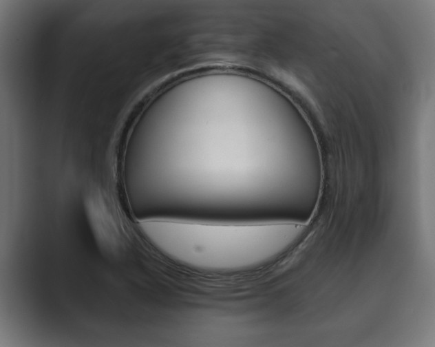 X0000089881318200706281042