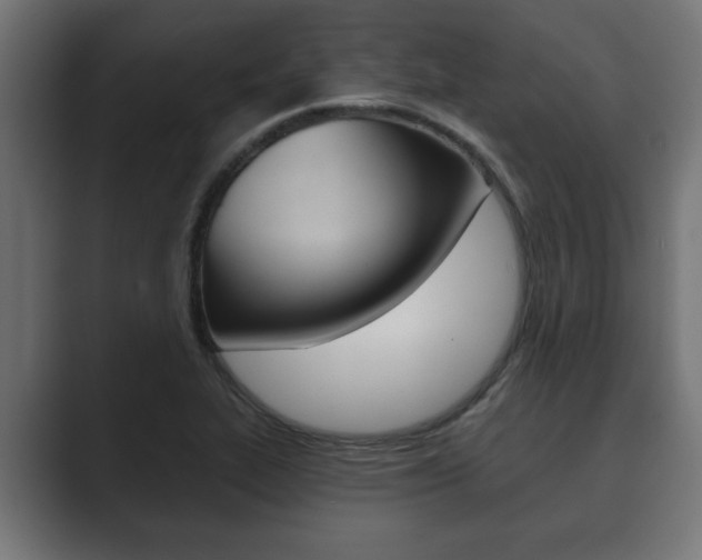 X0000089881319200706281042