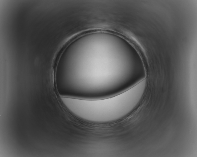 X0000089881320200706281042