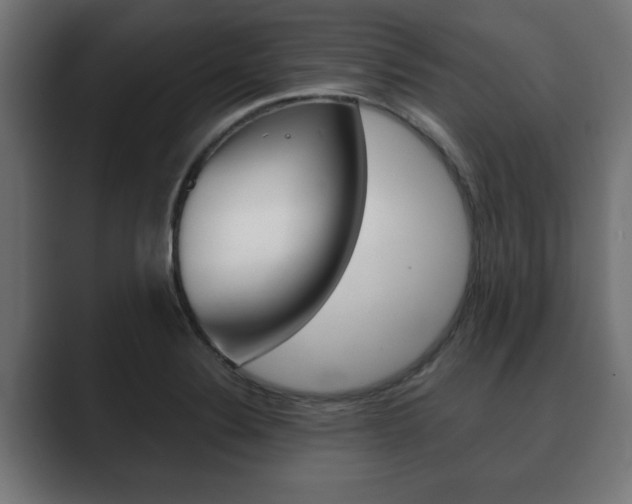X0000089881324200706281042