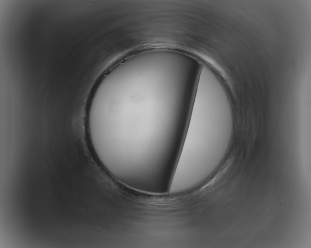 X0000089881325200706281042