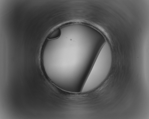 X0000089881327200706281042