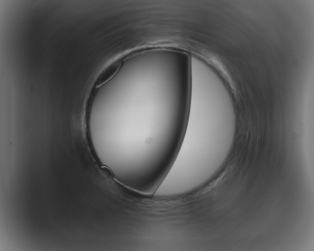 X0000089881328200706281042
