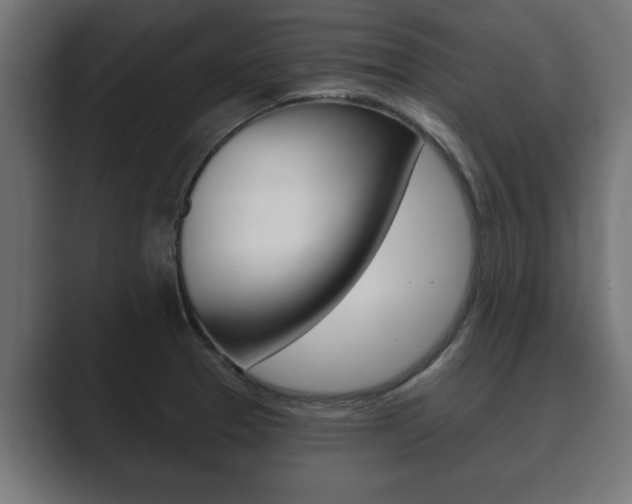 X0000089881329200706281042