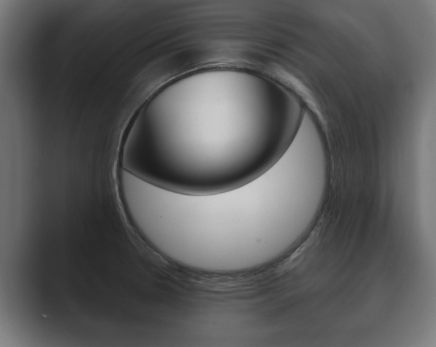 X0000089881330200706281042