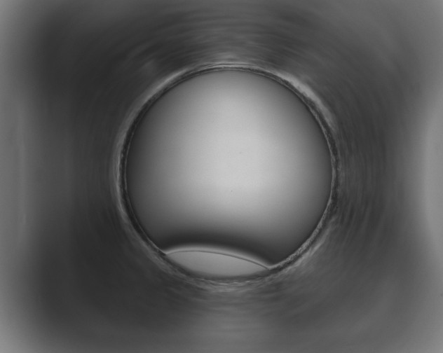 X0000089881333200706281042