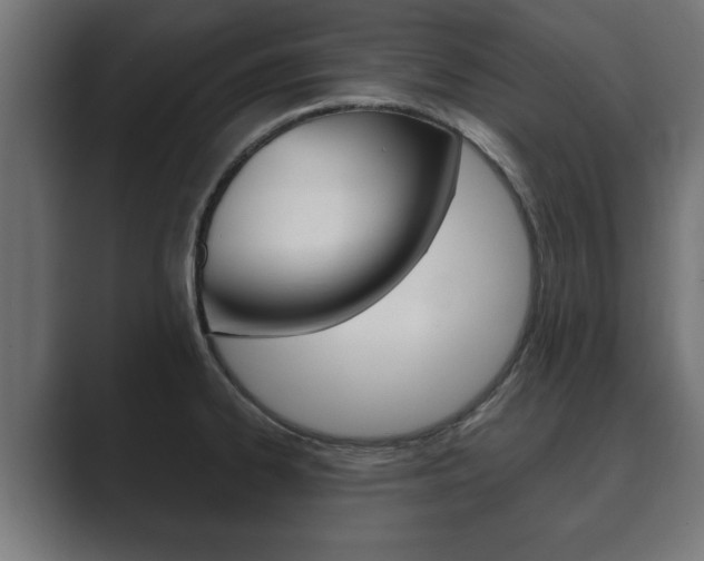 X0000089881334200706281042