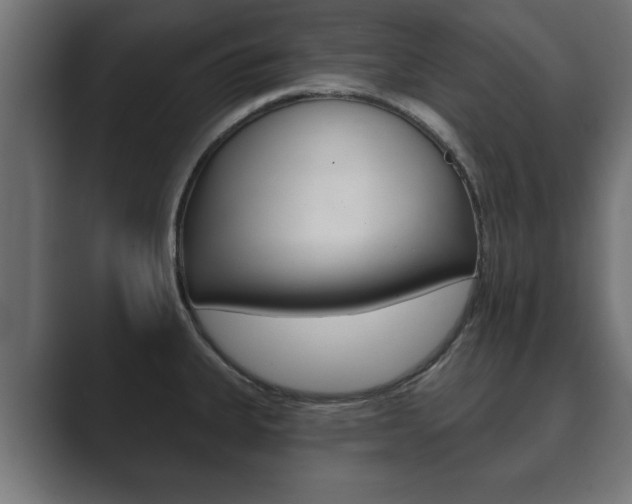 X0000089881335200706281042
