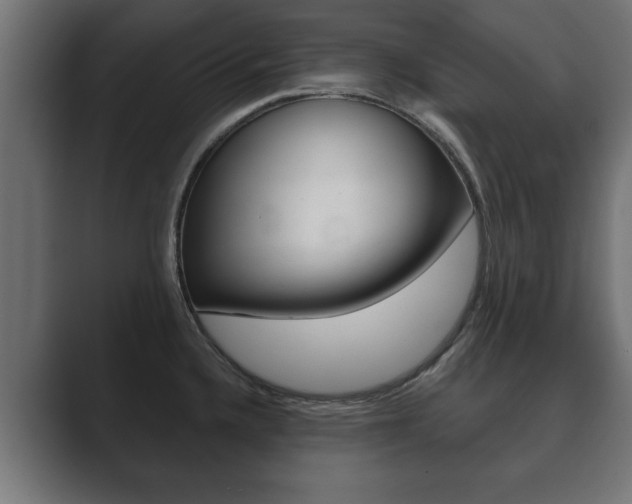 X0000089881336200706281042