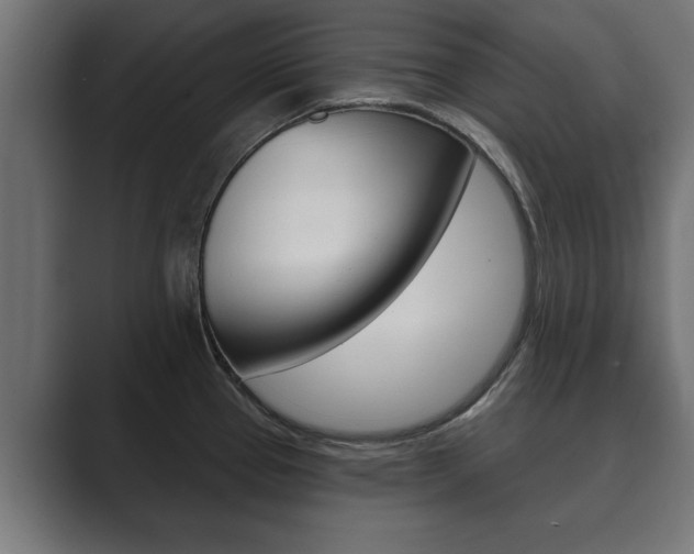 X0000089881337200706281042