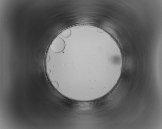 X0000089881338200706281042