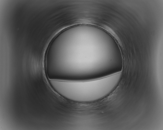 X0000089881339200706281042