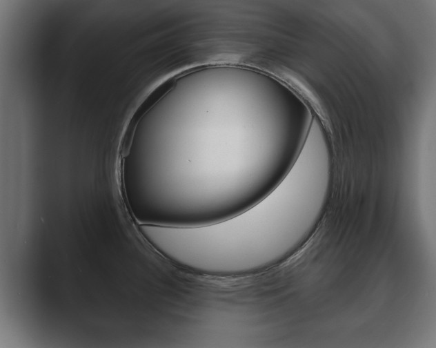 X0000089881340200706281042