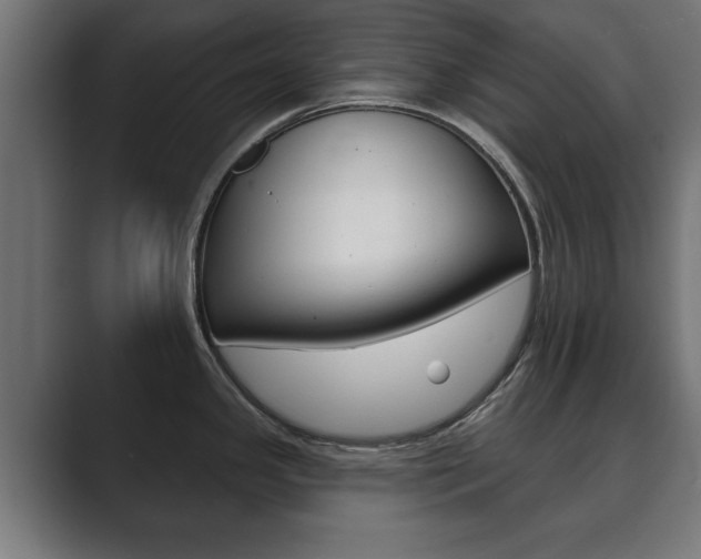 X0000089881341200706281042
