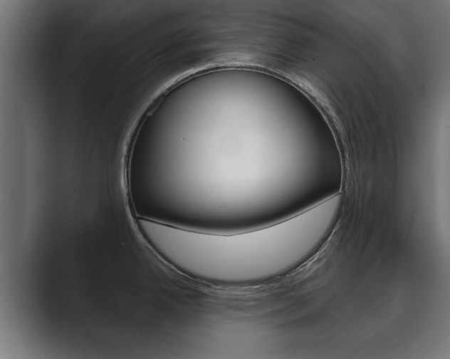X0000089881342200706281042