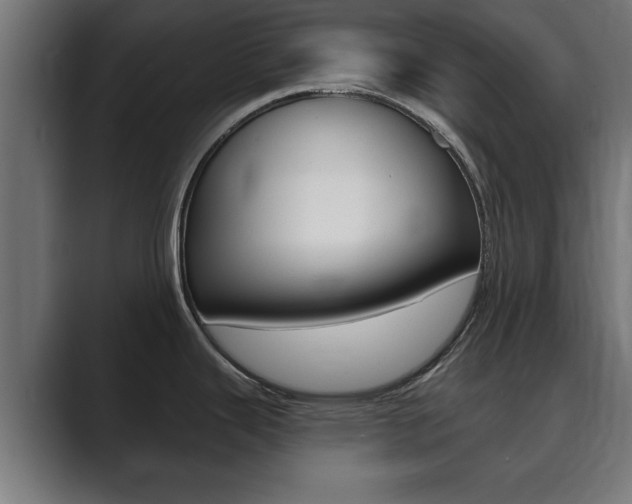 X0000089881343200706281042