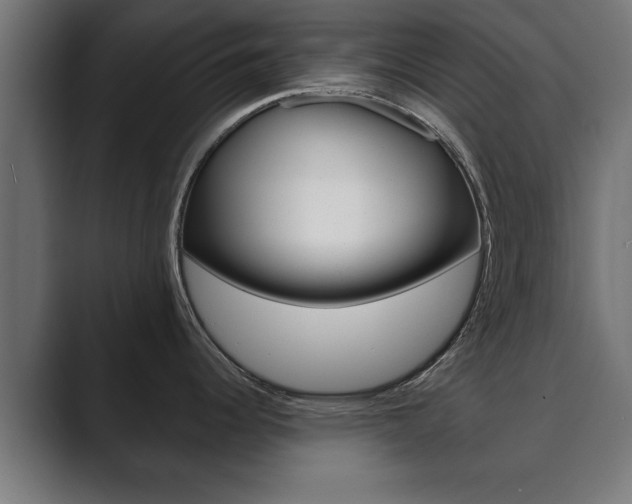 X0000089881344200706281042
