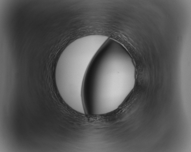X0000089881345200706281042