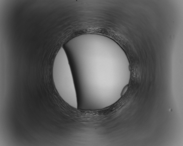 X0000089881346200706281042
