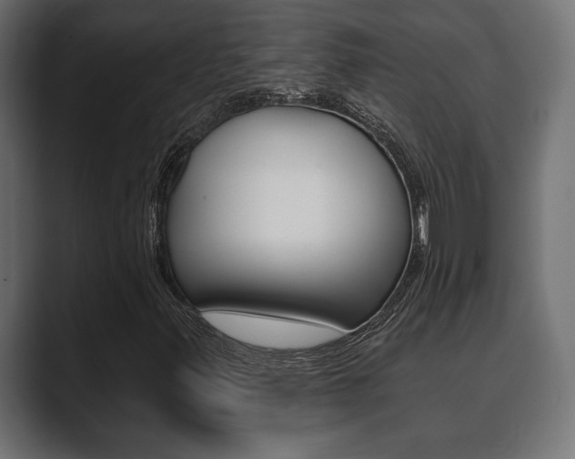 X0000089881347200706281042