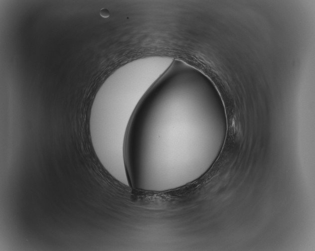 X0000089881348200706281042
