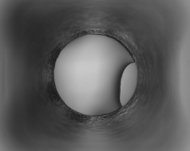 X0000089881350200706281042