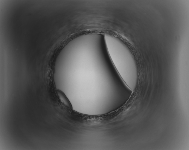 X0000089881351200706281042