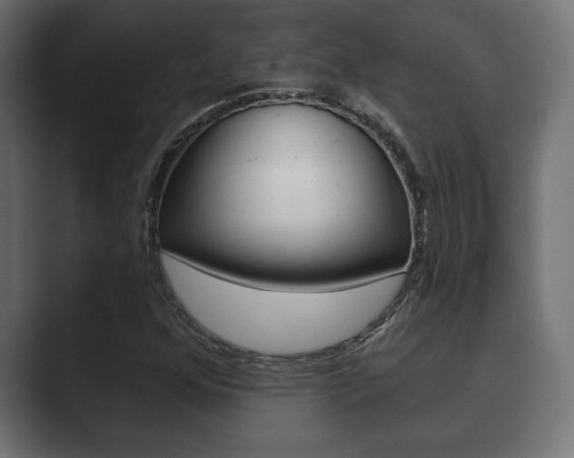 X0000089881352200706281042