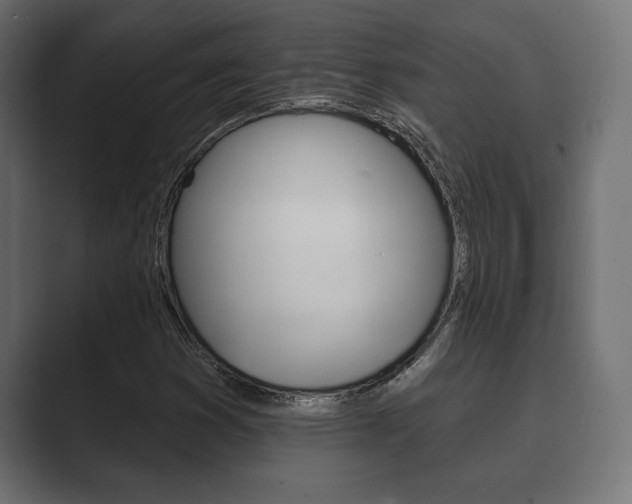 X0000089881353200706281042