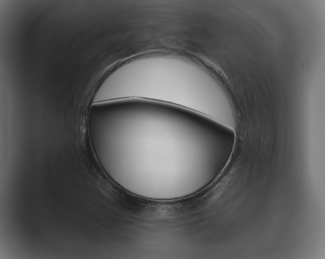 X0000089881355200706281042
