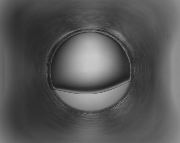 X0000089881356200706281042