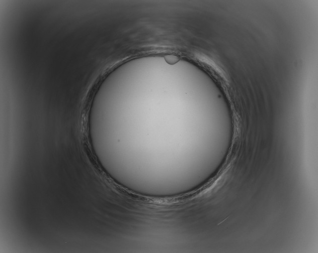 X0000089881357200706281042