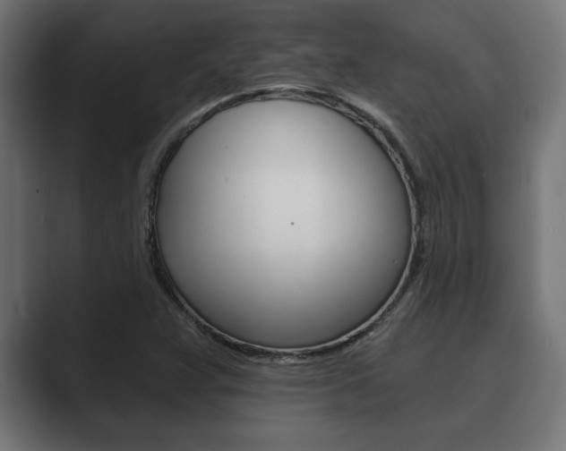 X0000089881359200706281042