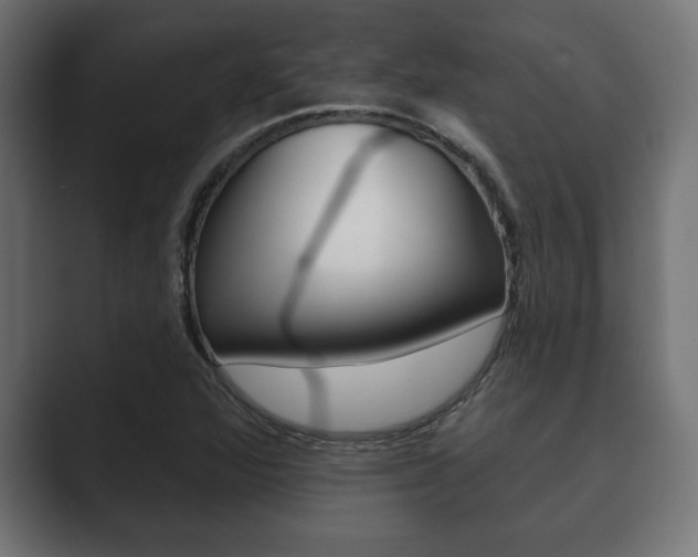 X0000089881360200706281042
