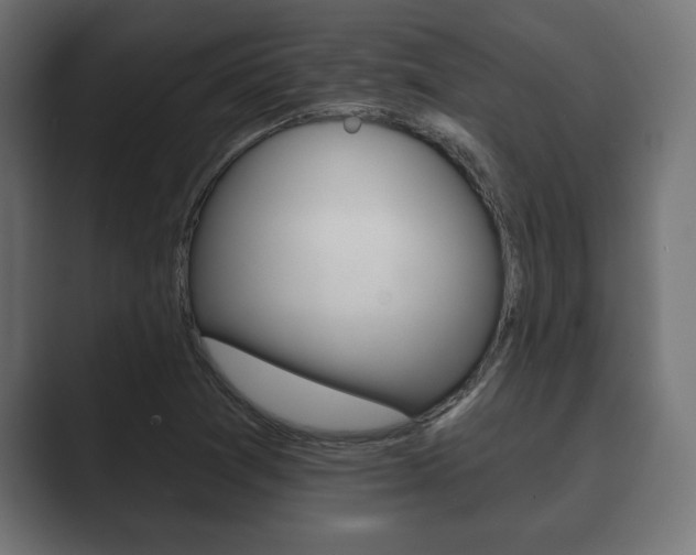 X0000089881361200706281041