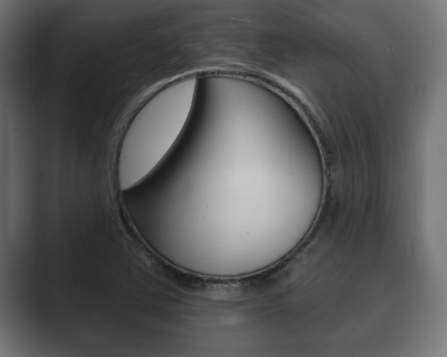 X0000089881363200706281041