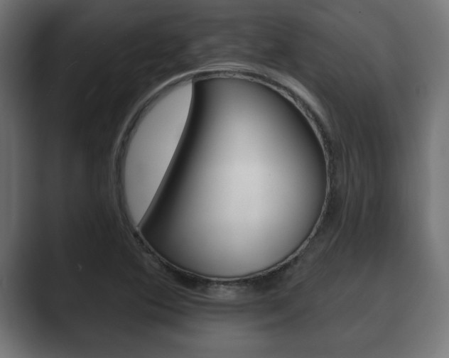 X0000089881364200706281041