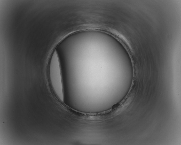 X0000089881365200706281041