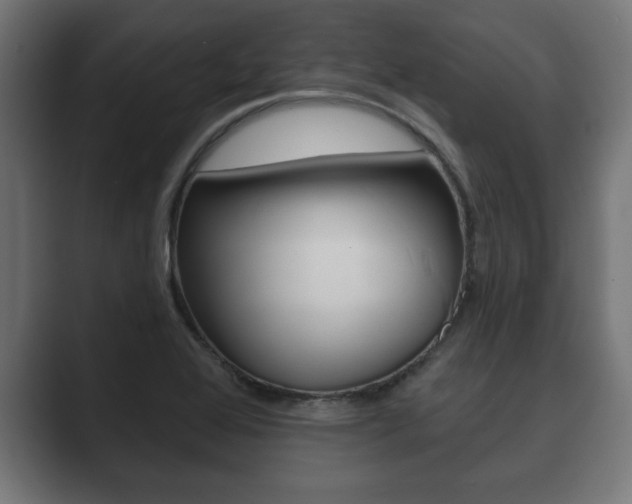 X0000089881368200706281041